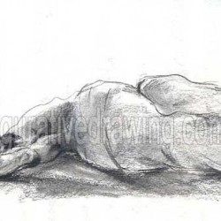 Figurative Drawing-Gallery 2-26
